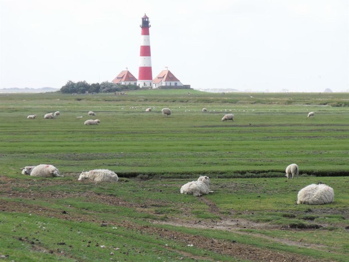 Appartement Deichgans - Haus Loreley Sankt Peter-Ording Kültér fotó